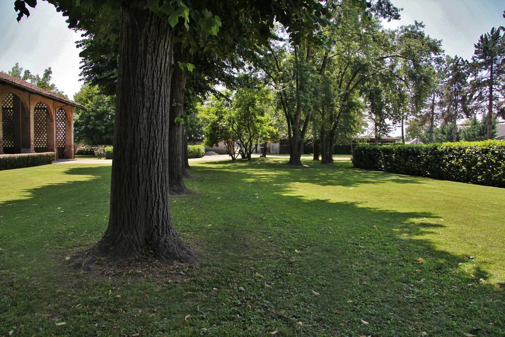 Tenuta Ajrale Vigone Exteriér fotografie