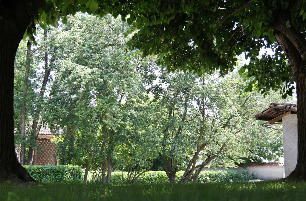 Tenuta Ajrale Vigone Exteriér fotografie